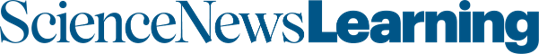 SN Learning logo